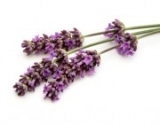 D'Olivo Lavender Balsamic Vinegar 218