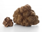 D'Olivo White Truffle Extra Virgin Olive Oil D'Olivo White Truffle Extra Virgin Olive Oil