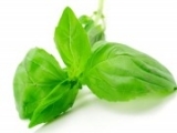 D'Olivo Organic Basil Olive Oil 119