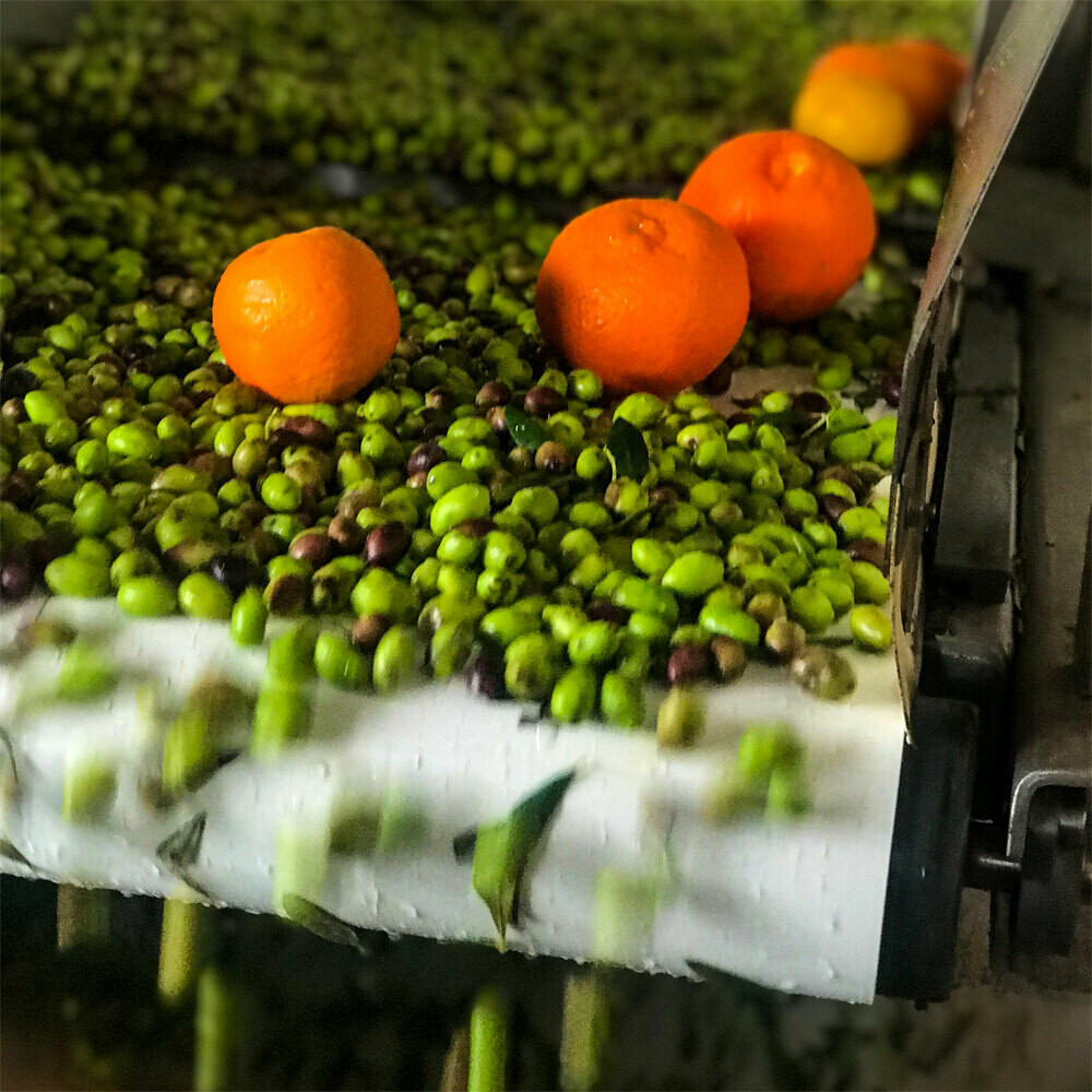 Mani Orange Agrumato (Fused) Greek Olive Oil Mani Orange Agrumato (Fused) Greek Olive Oil