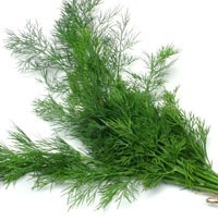 D'Olivo Fernleaf Dill Olive Oil 112