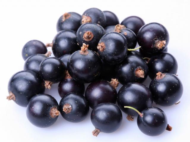 D'Olivo Black Currant Balsamic Vinegar 206