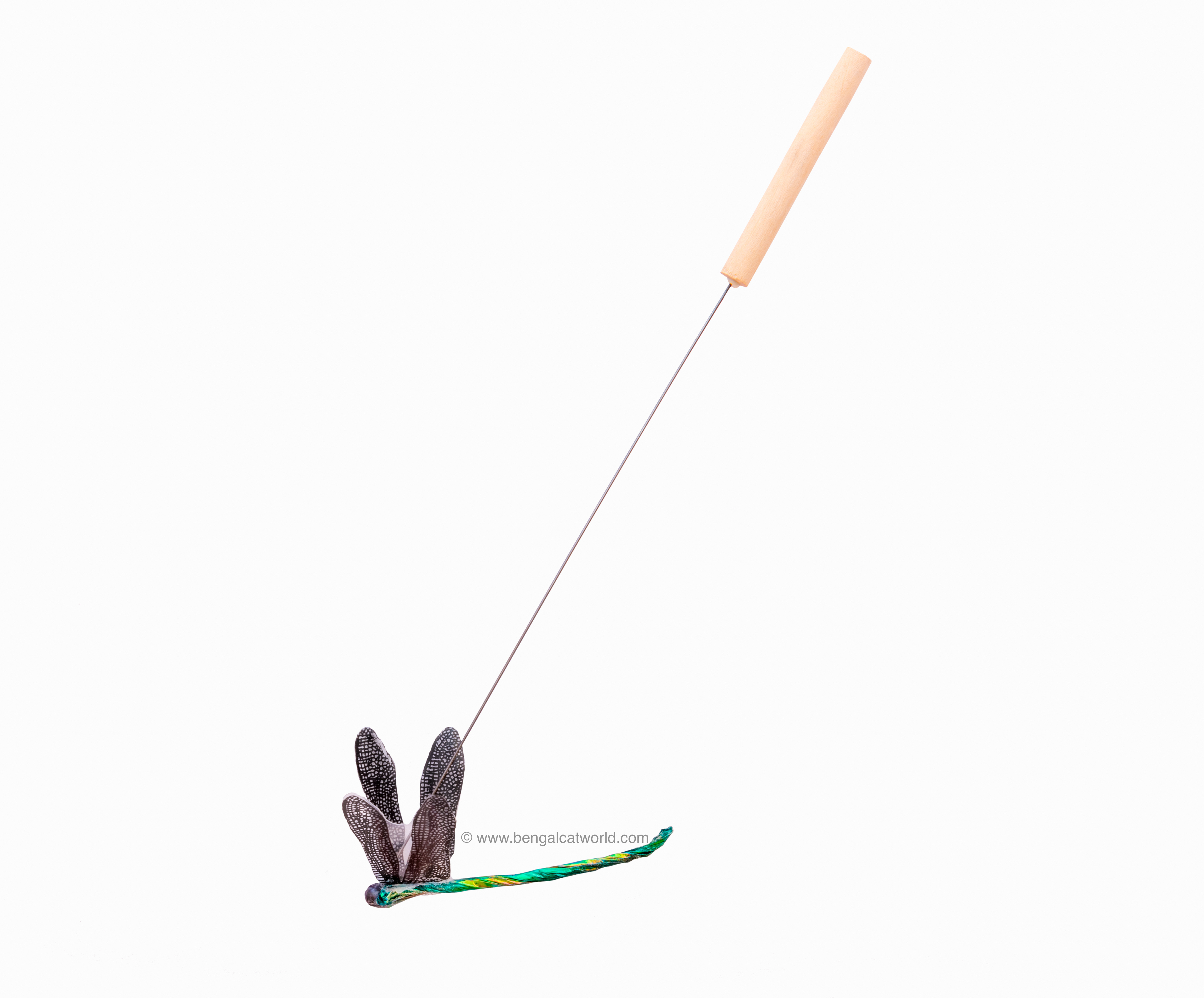 dragonfly cat toy