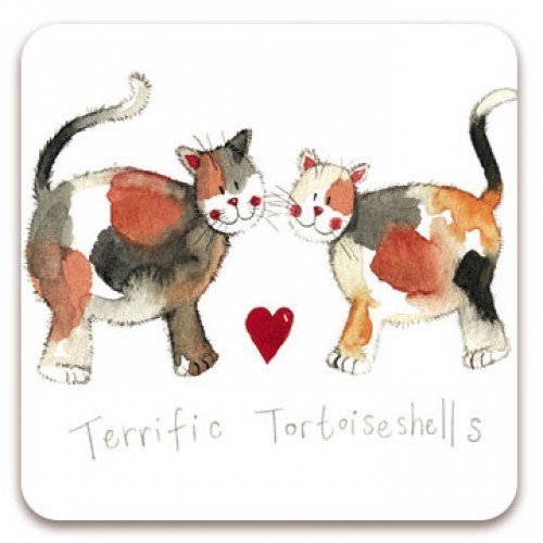 Terrific Tortoiseshells