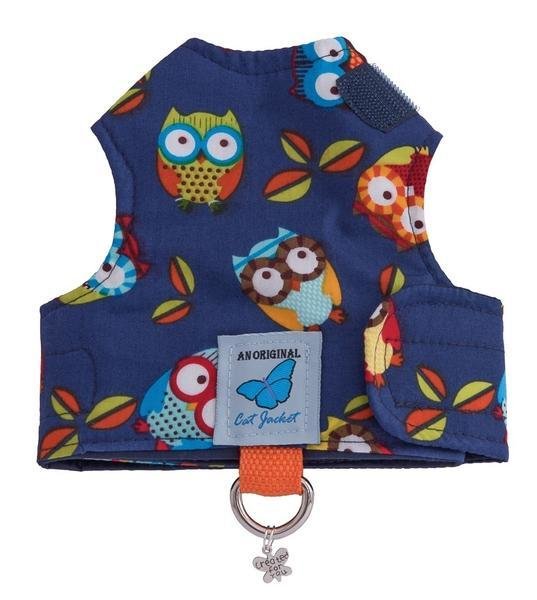 Blue Owls