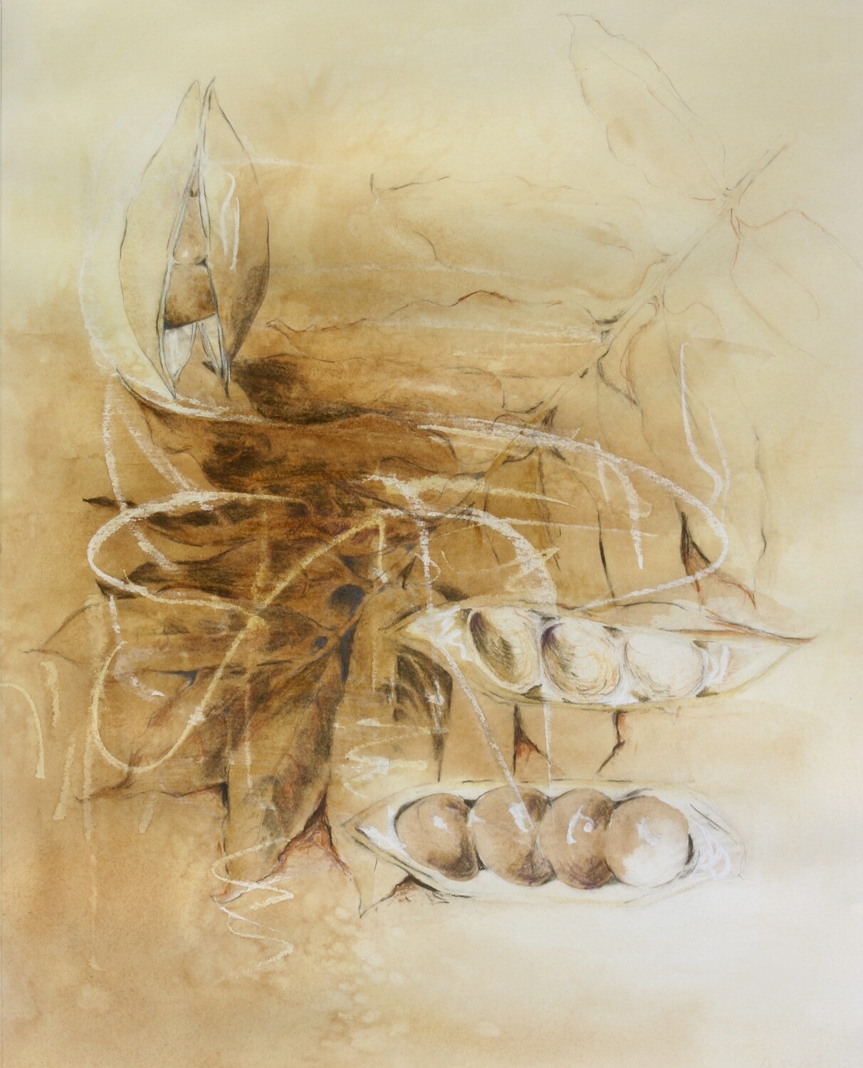 The Black Bean Tree - Original Art Mixed Media Sepia Tones