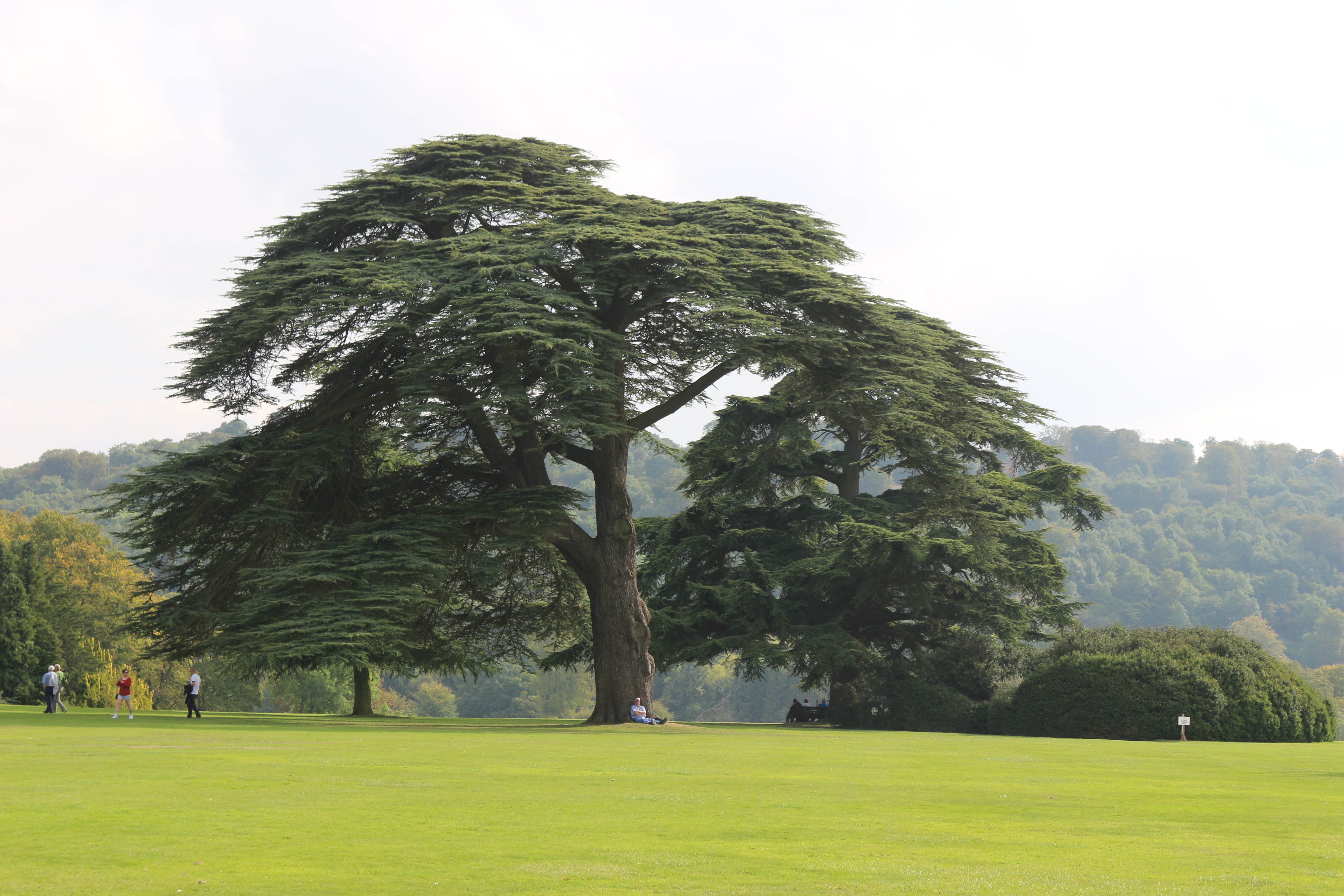 Grounds of Highclere