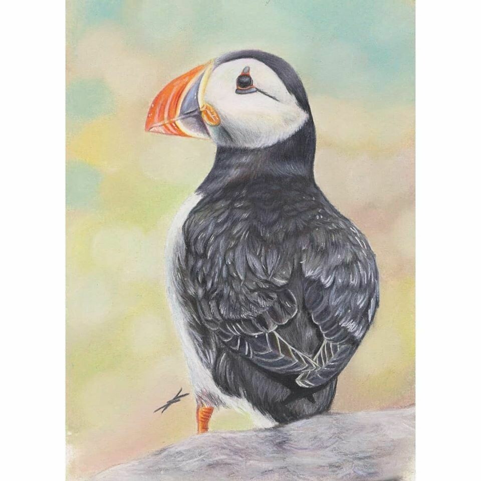 My Puffin Original My Puffin Original