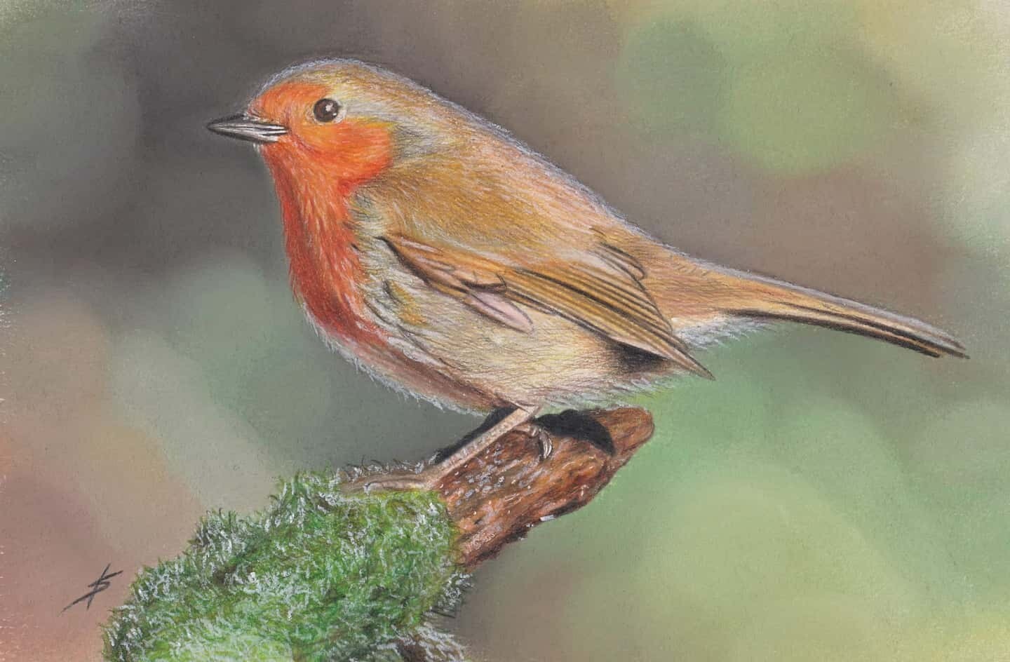 Mr Robin Original Mr Robin Original