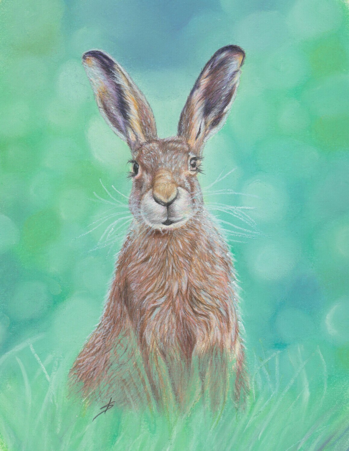 Mr Hare Original Mr Hare Original