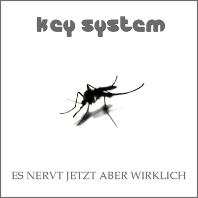 Key Systems - Es nervt jetzt aber wirklich (Ltd. Handwritten Edition) Key Systems - Es nervt jetzt aber wirklich (Ltd. Handwritten Edition)