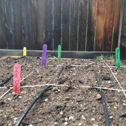 Small Garden Bed & Planting 4X4