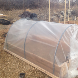 Small Garden Bed & Planting 4X4
