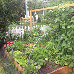 Small Garden Bed & Planting 4X4