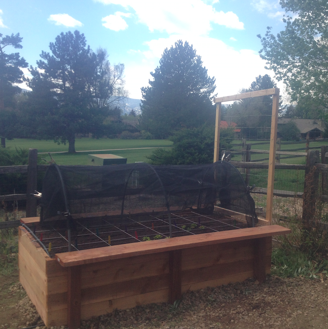 Small Garden Bed & Planting 4X4