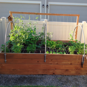 Small Garden Bed & Planting 4X4