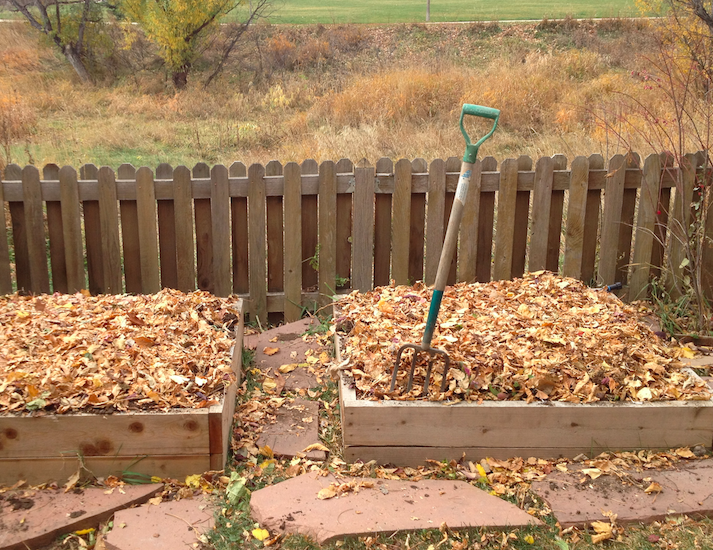 Small Garden Bed & Planting 4X4