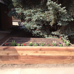 Small Garden Bed & Planting 4X4