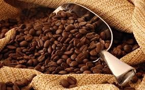 Coffee Sails 1lb. Bag (16 oz.) 701