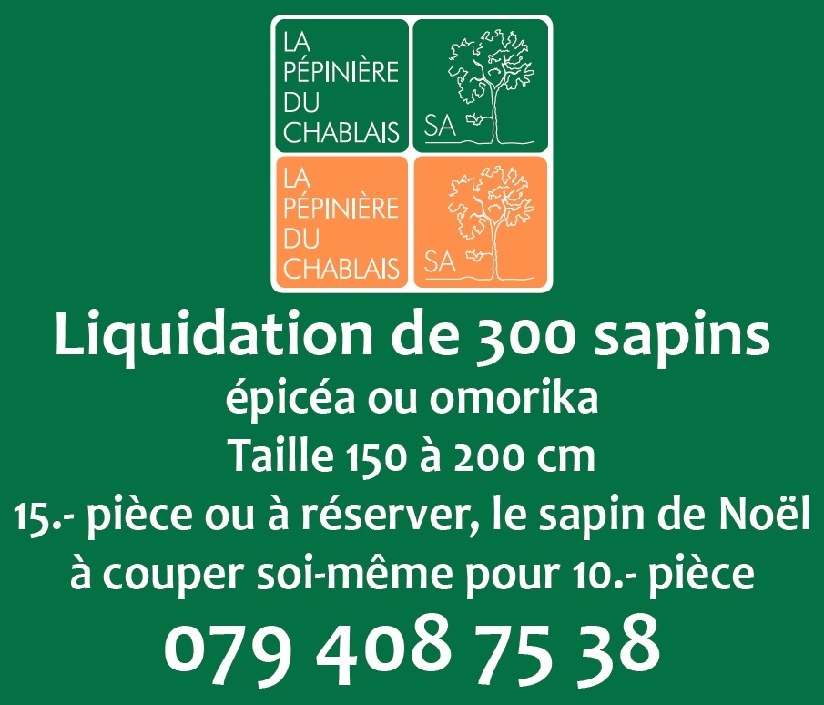Sapins épicéa ou omorika 01438