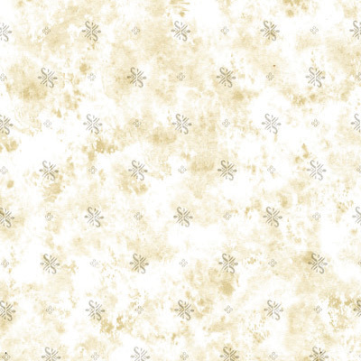 Vanilla Vanilla