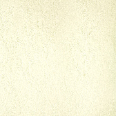 Vanilla Cream Vanilla Cream