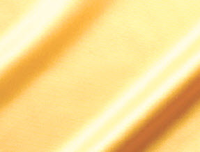 Maize