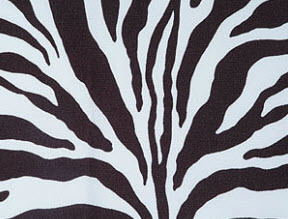 Zebra Print Zebra Print