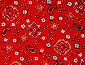 Bandanna Red Bandanna Red