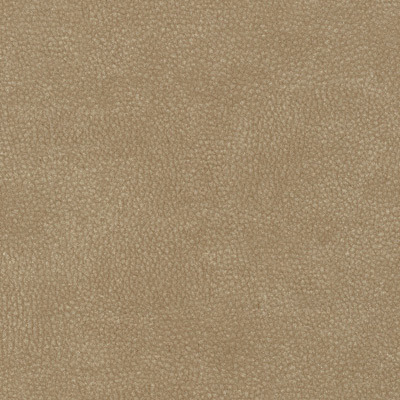 Buckskin