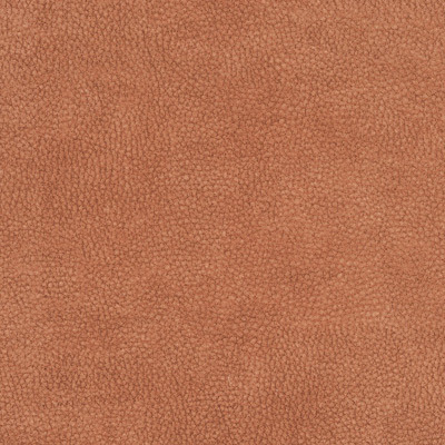 *Cinnamon