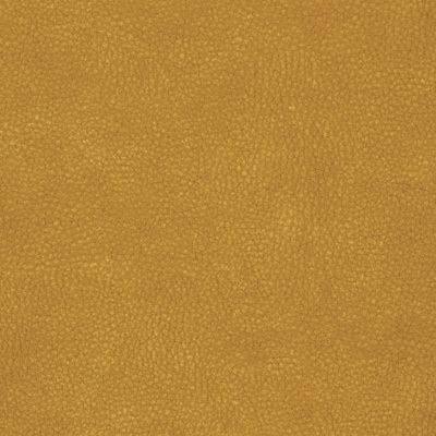 *Goldenrod