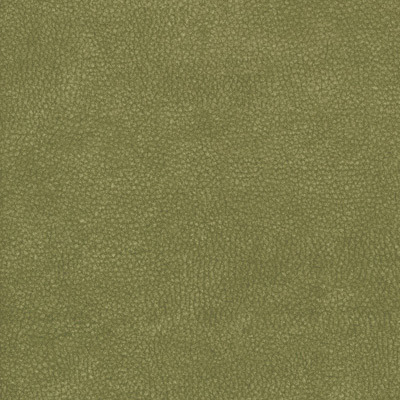 Pea