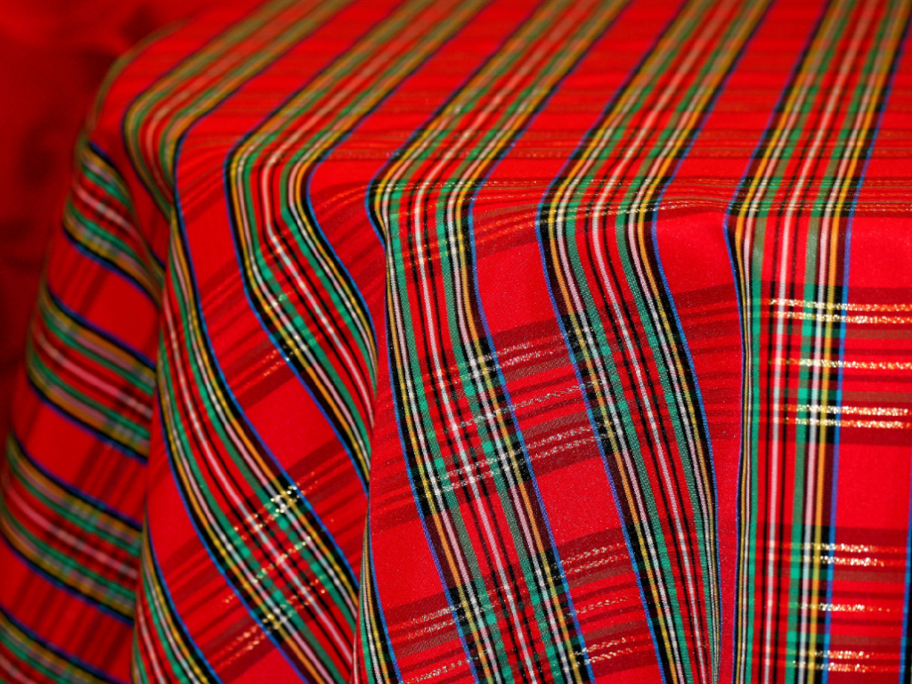Plaid Print