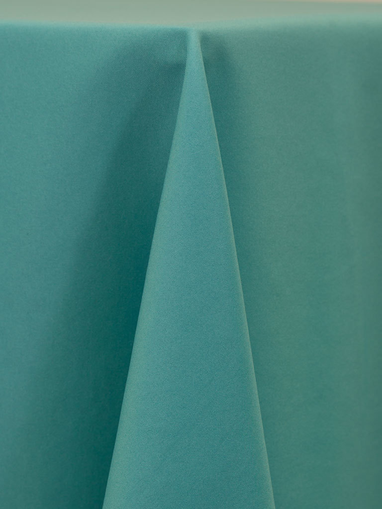 Robin's Egg Blue