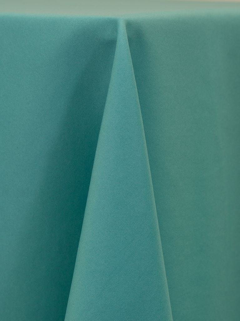 Robin's Egg Blue
