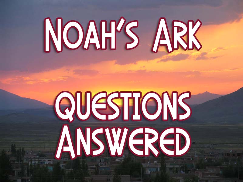 Questions Answered: Noah's Ark