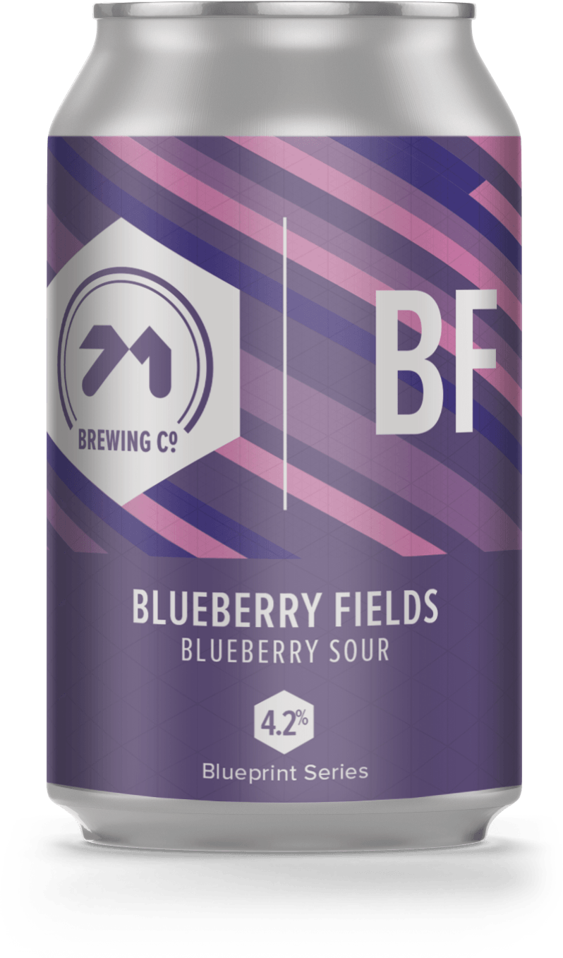 Cerveza 71 Brewing  Blueberry Fields 33 cl. - Birrak