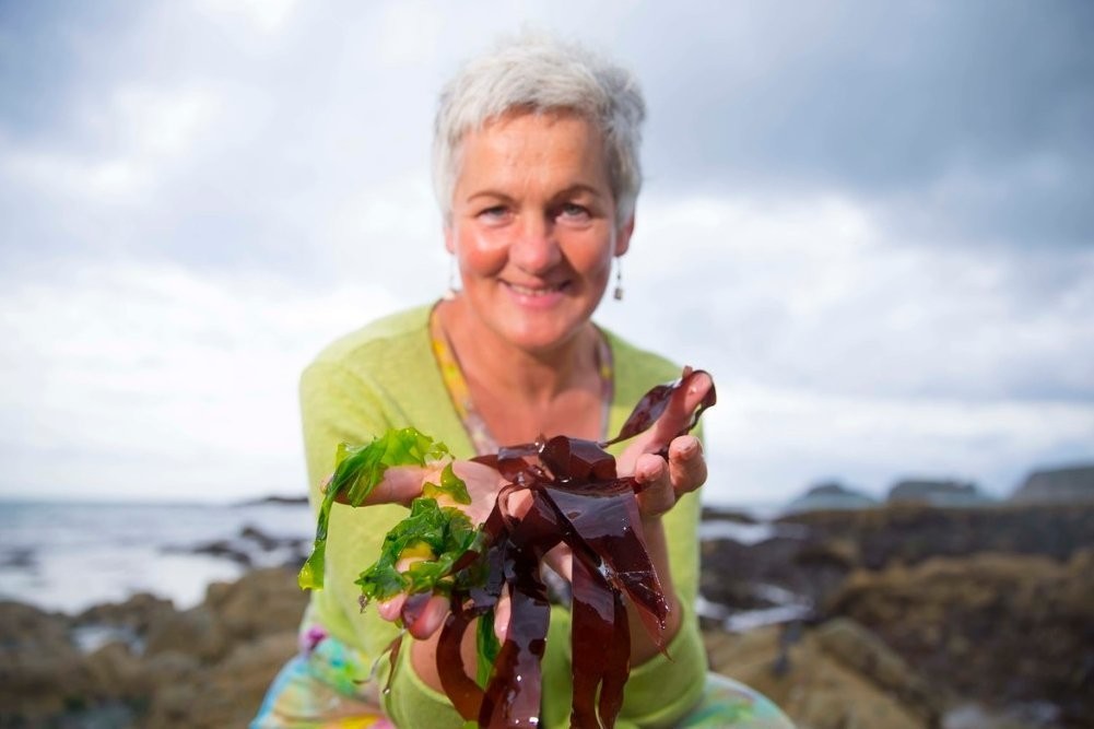 Tapas from the Sea Tapas from the Sea