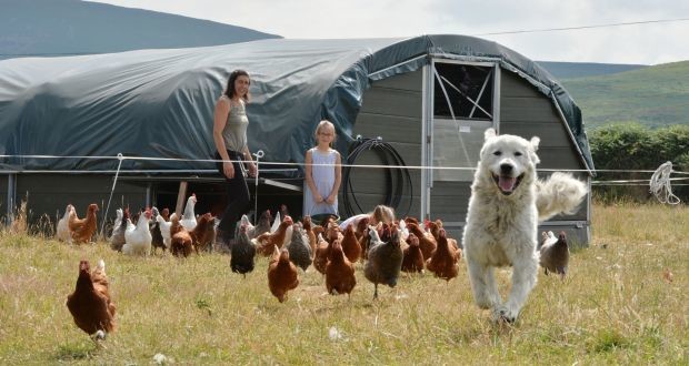 Family Farm Bus Family Farm Bus