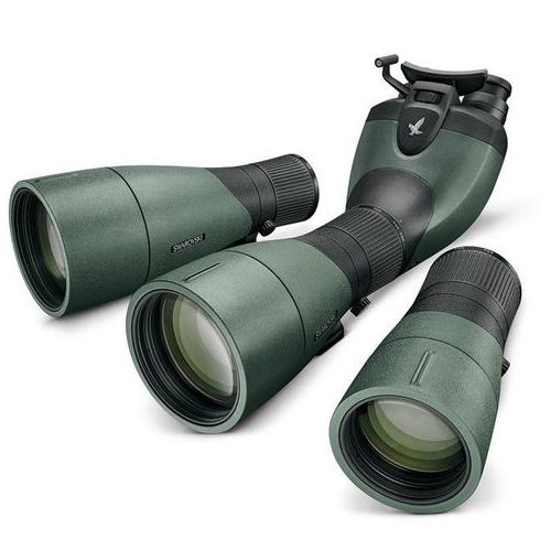 Swarovski BTX Modular Eyepiece