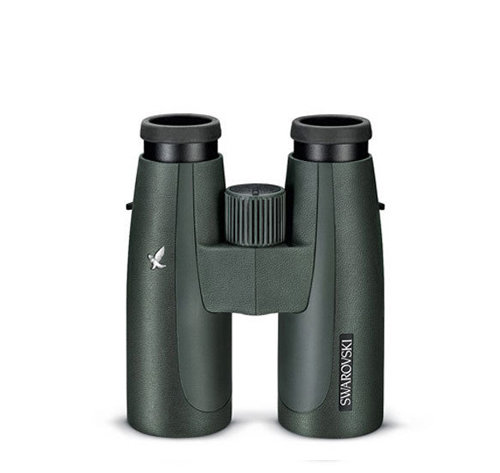 Swarovski HD 10x42 Binocular Rental 34388