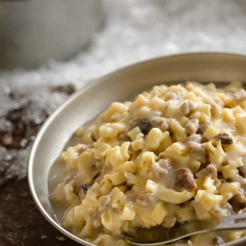 Mountain House Beef Stroganoff with Noodles