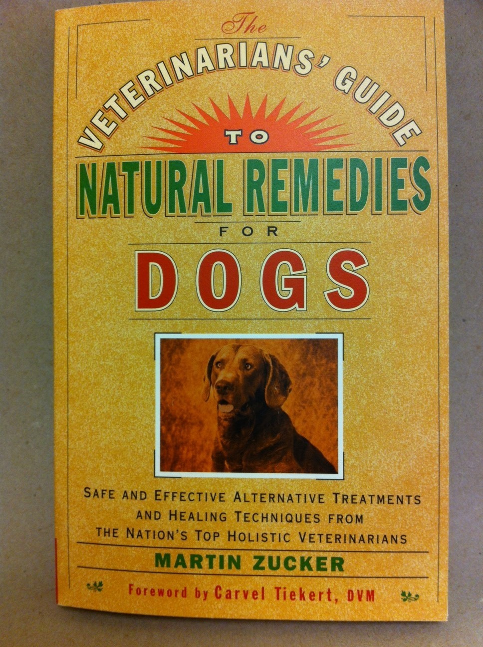 A Veterinarian's Guide to Natural Remedies for Dogs A Veterinarian's Guide to Natural Remedies for Dogs