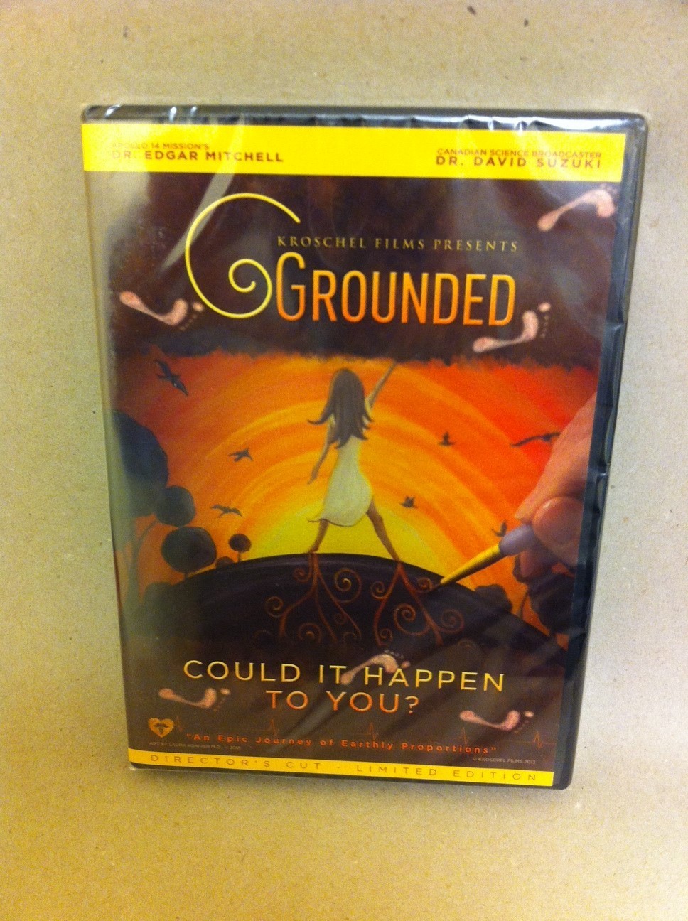 Grounded Could It Happen To You? DVD Grounded Could It Happen To You? DVD