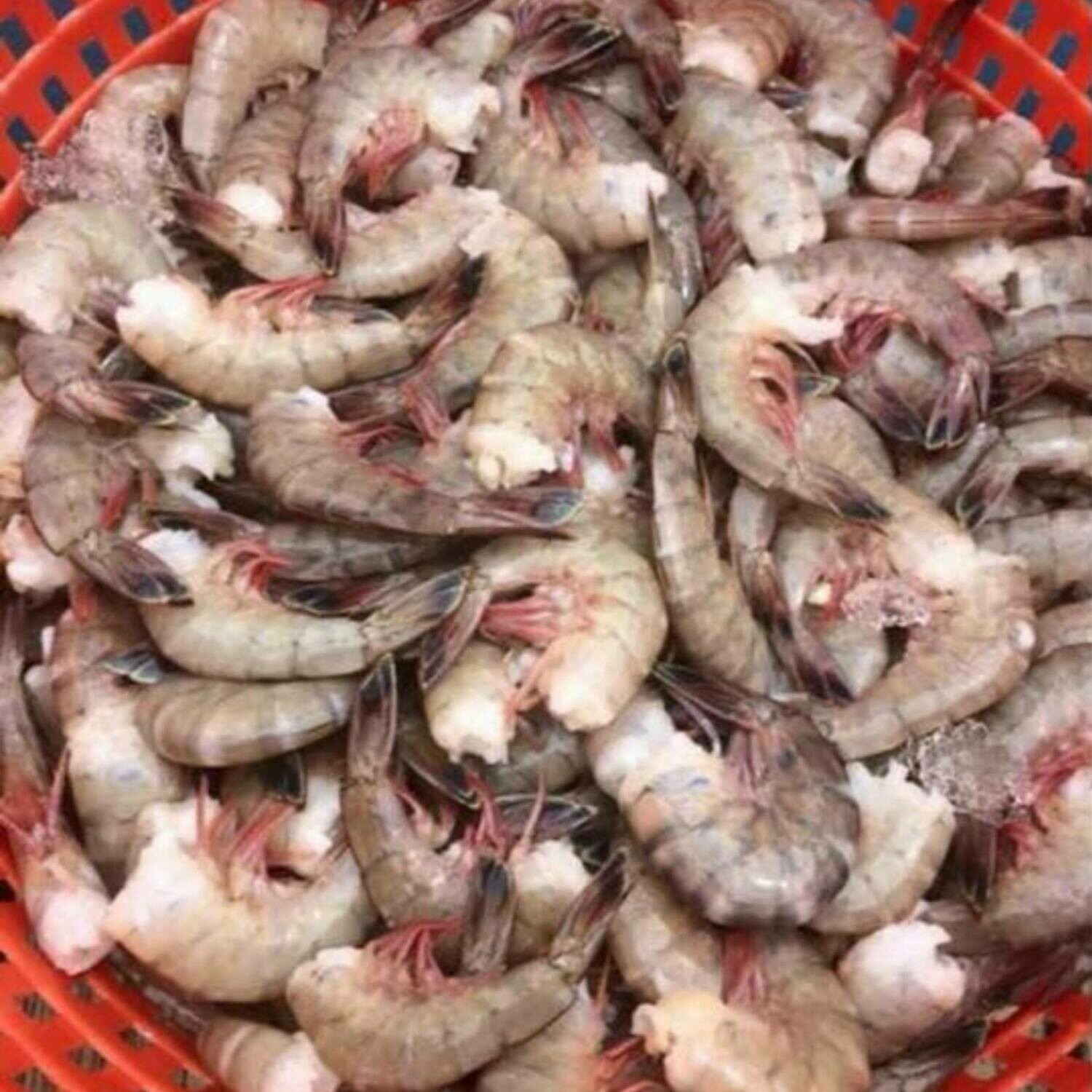 Jumbo Gulf Shrimp