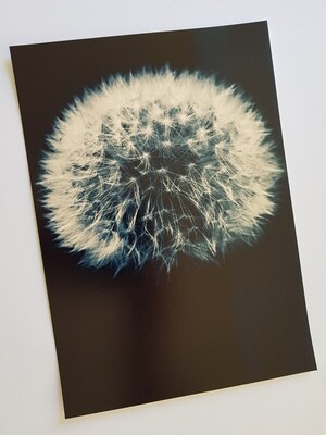 Confinement Print #5 Confinement Print #5