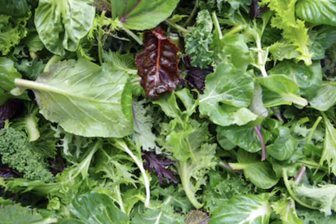 Green Salad with Walnut Dressing Green Salad with Walnut Dressing