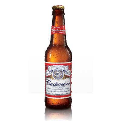 Bottle Budweiser Bottle Budweiser