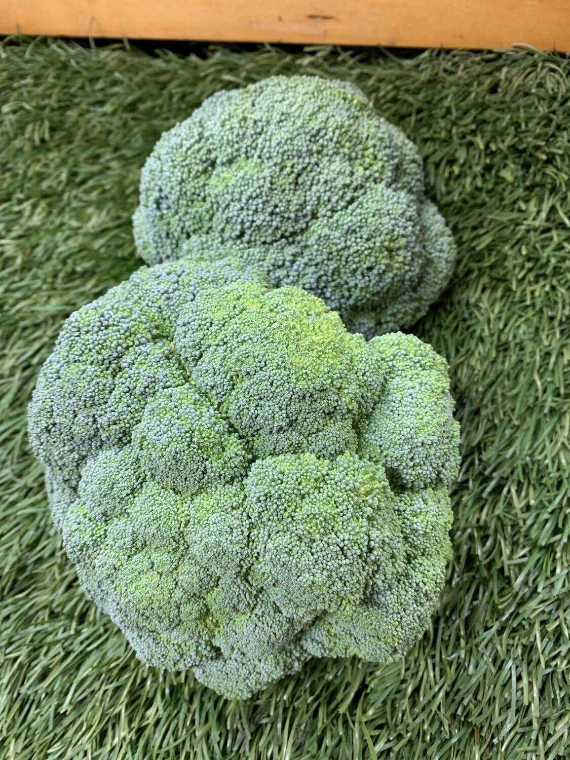 Broccoli Broccoli